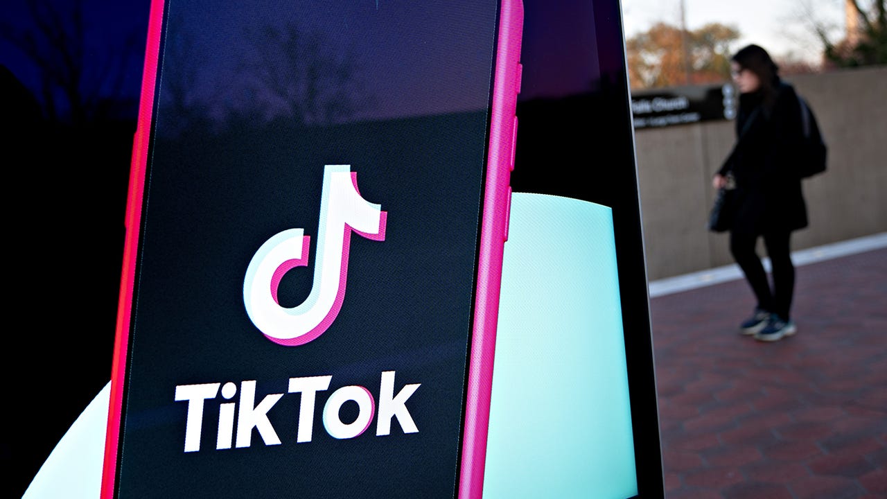 TikTok bans explained: Everything you need to know | ZDNET