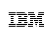 IBM and the challenge of systems design