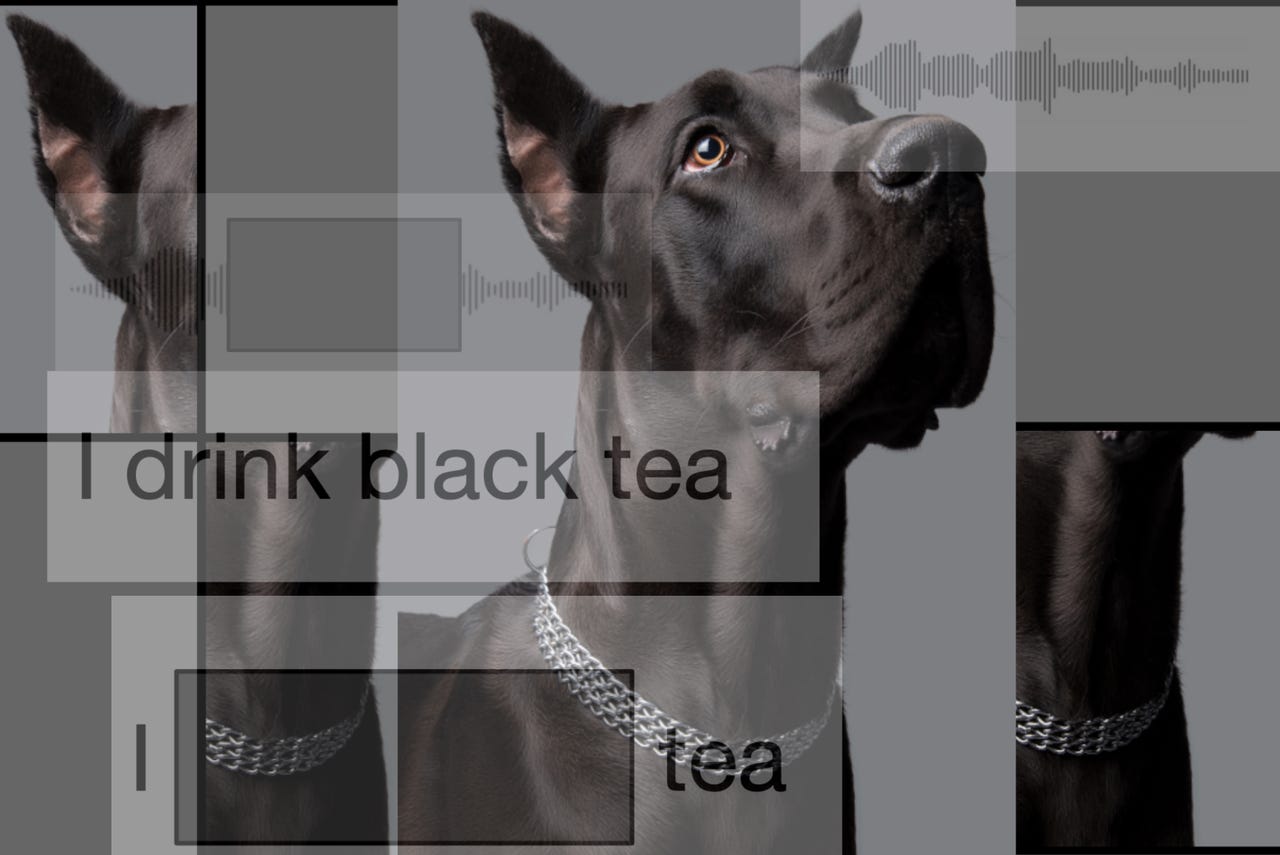 Overlapping pictures of a large black dog and the words "I drink black tea"