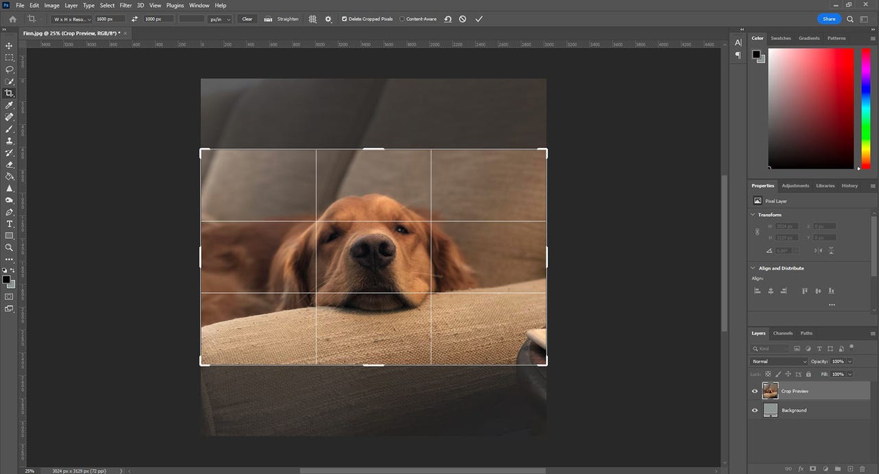 How to resize your images quickly and easily | ZDNET