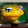 Samsung QN900C 8K QLED smart TV