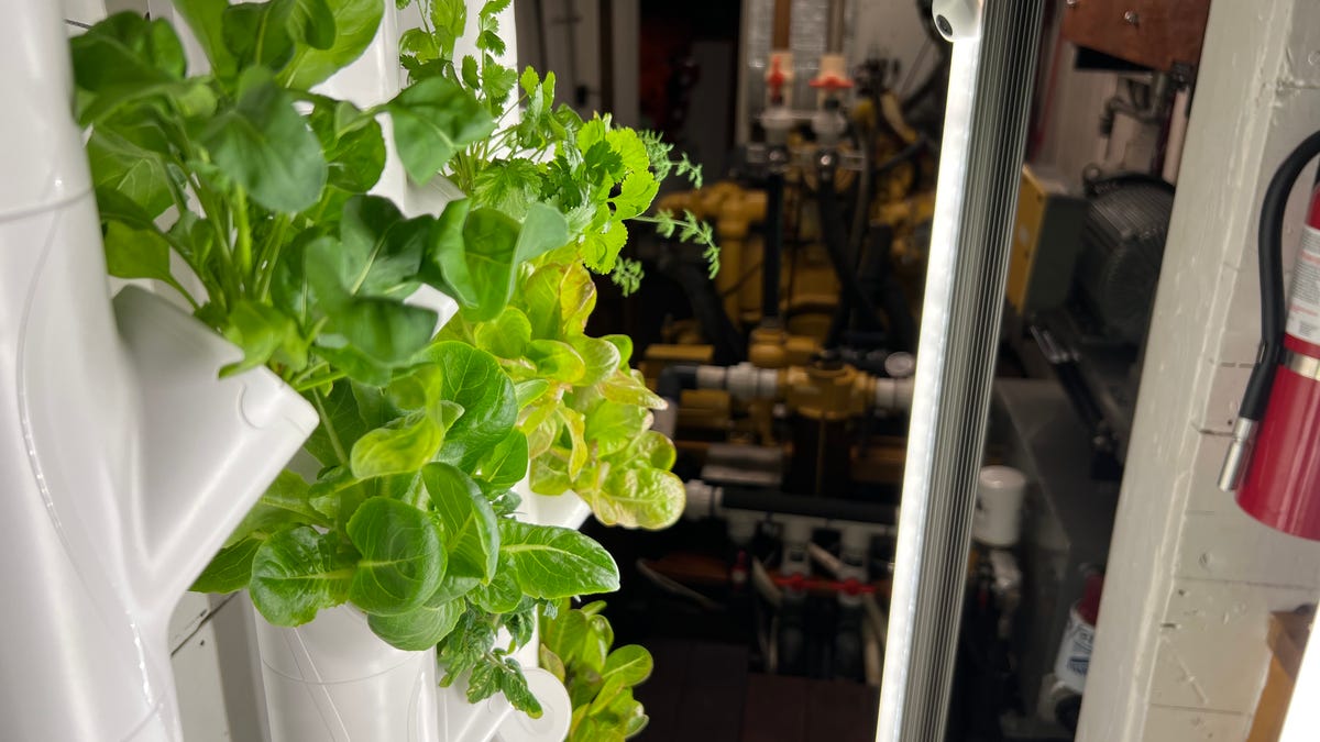 I tried a massive, indoor smart garden in my tiny home and didn’t regret it