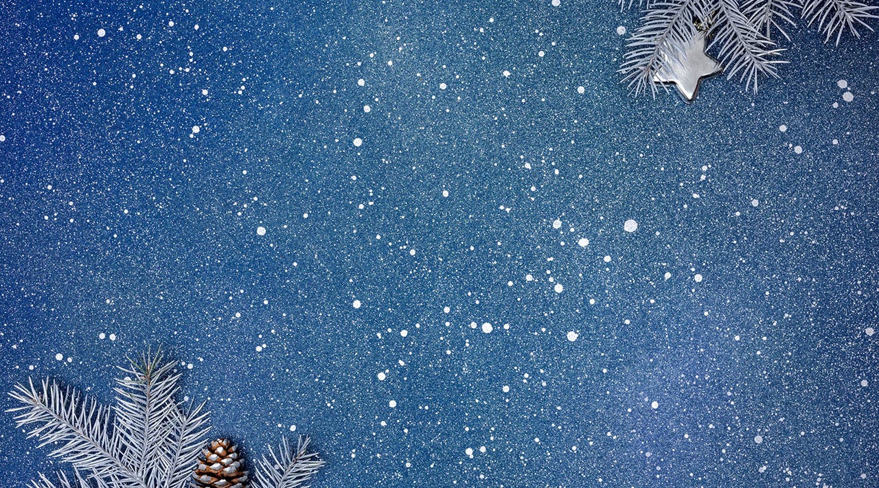 Blue background with snow, pine needles, and pinecones