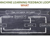 The machine learning feedback loop