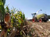 Monsanto and Microsoft seek agribusiness tech startups in Brazil