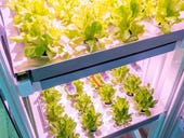 Smart soil, automated LED lights, this tech can grow anything from herbs to sequoias