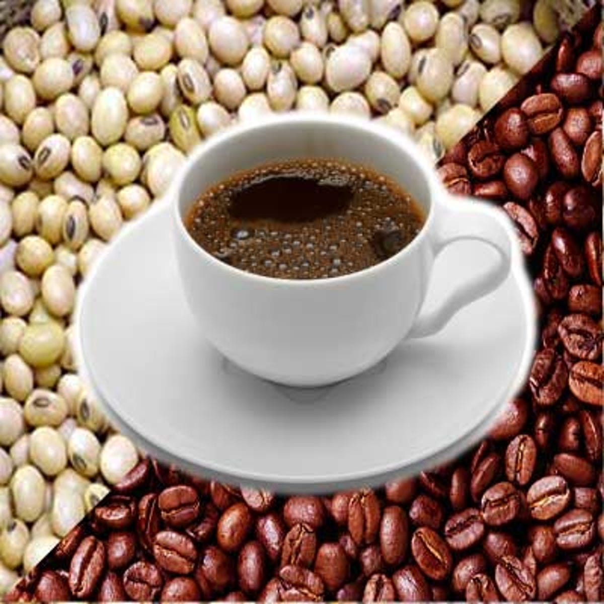 soybean-coffee.jpg