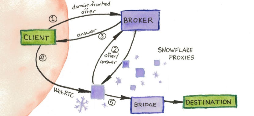 tor-snowflake-schematic.png