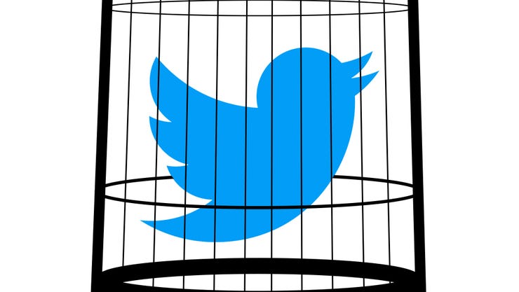 Bir kuş kafesinde Twitter kuş logosu