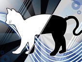 Fedora 19 Linux, “Schrödinger's Cat," goes beta