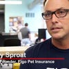 CEO explains how tech helps Figo Pet Insurance stay nimble