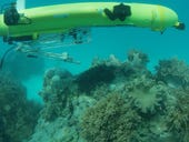 Underwater robots kill invasive fish to save the oceans