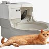 An orange cat laying down in front of a grey robot litter box