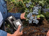 Intel tunes its IoT solutions with the help of blueberry farmers