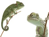 Why the CIO must become the Chameleon In Chief