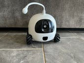 Meet Rocki, the robot pet companion