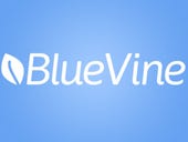 Online lender BlueVine raises $49m to expand team and offerings