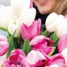 A close up of white and pink tulips with a woman smiling in the background