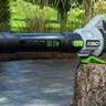 Ego Power+ variable speed electric leaf blower
