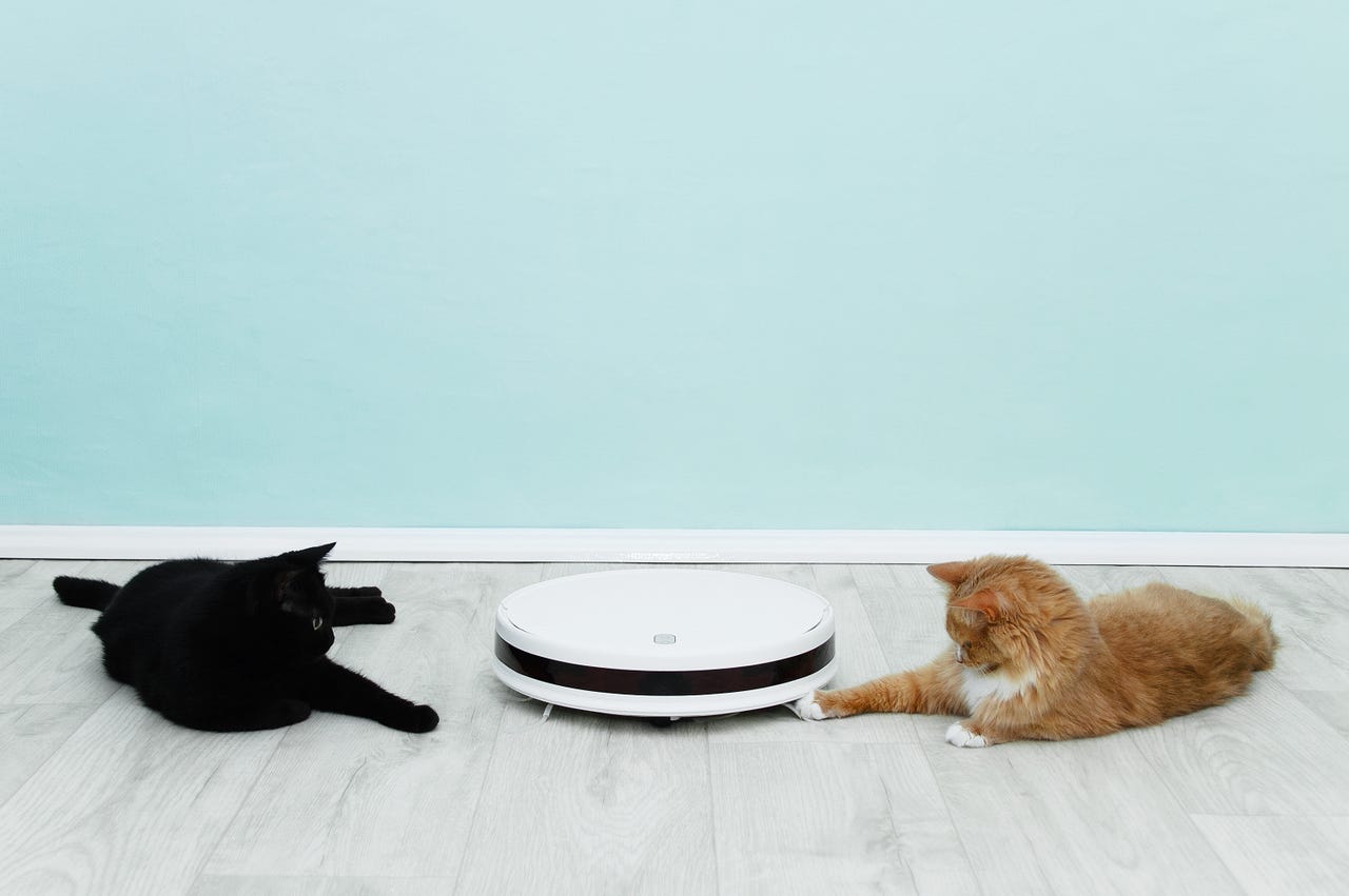 robot vacuum with cats