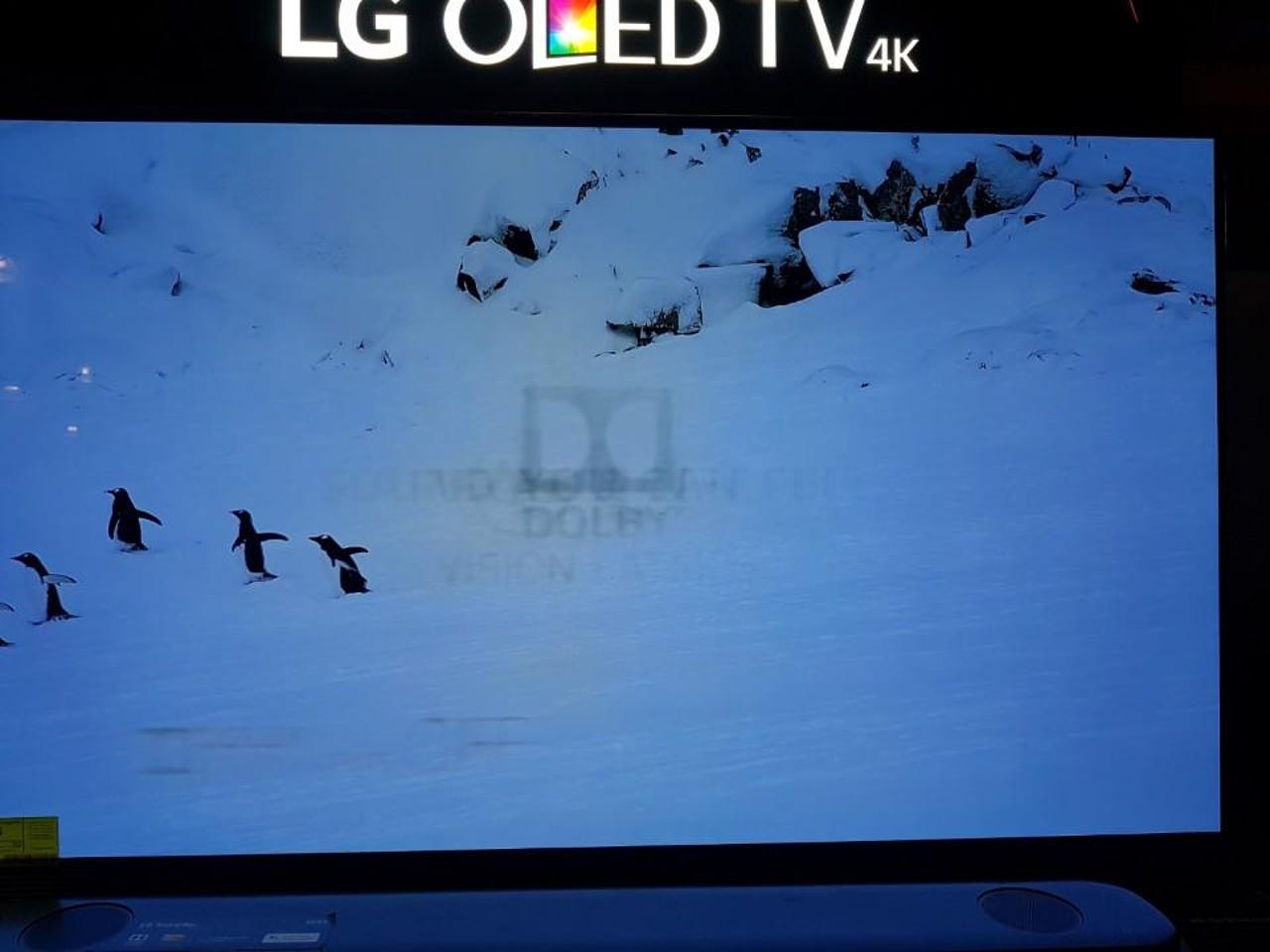 LG Display confirms 32-inch OLEDs are on the way – and a 30-inch
