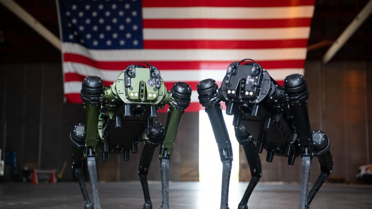 Read more about the article House Drive takes robotic patrol canines for a stroll