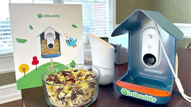 Bird Buddy Review — This Bird Feeder is My Favorite Product of the