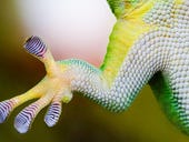 Gecko Gripper utilizing NASA-created tech launches commercially