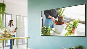 A woman using an LG QNED80 TV mounted on her wall to follow along with a gardening video