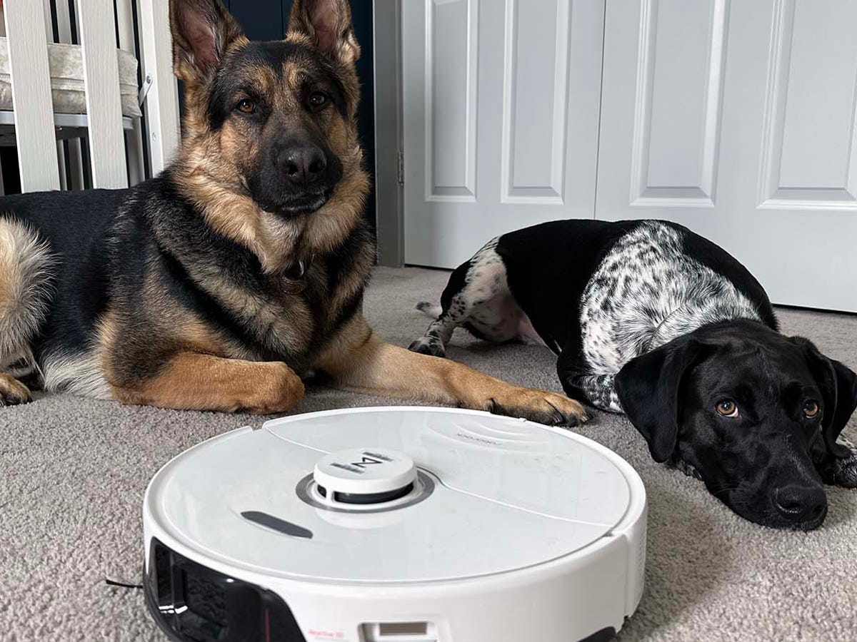 Affordable Robotic Vacuum Cleaners for Pet Hair Keeping Your Home Clean and Pet-Friendly