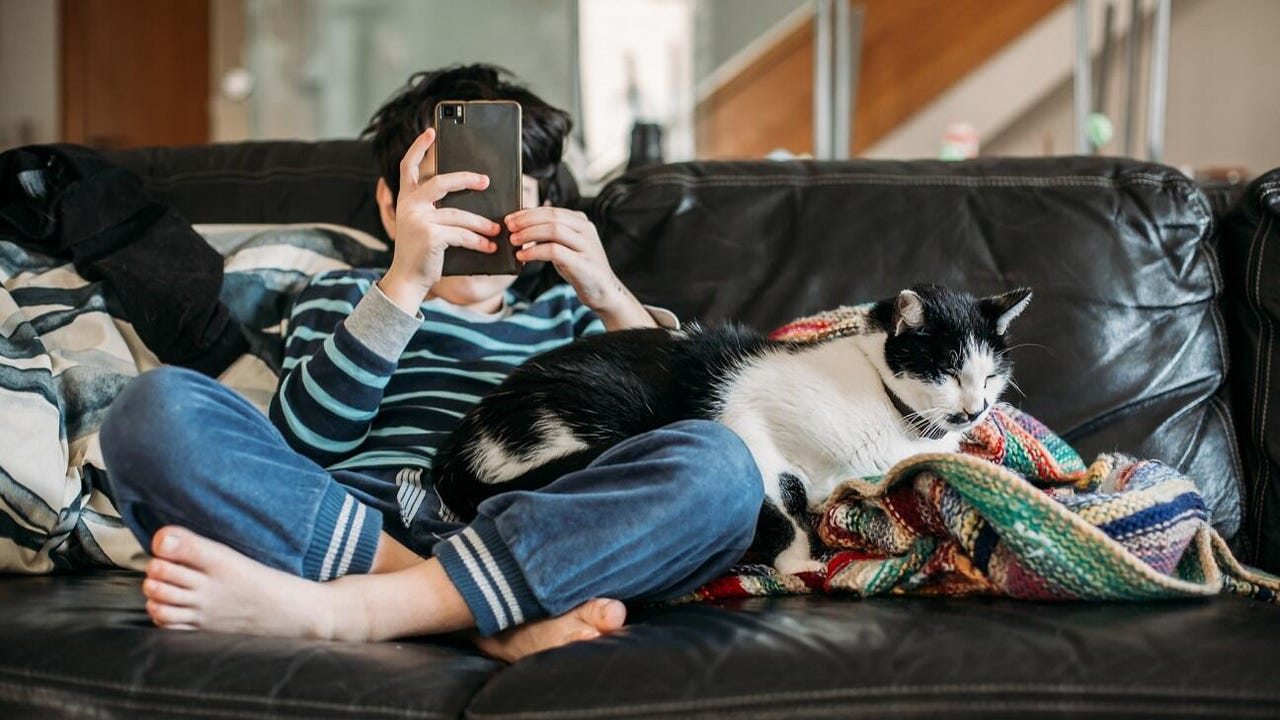 A child sitting on a couch holds a smartphone in front of his face. A black and white cat naps on the child's lap.