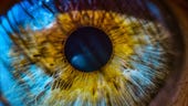 OpenAI's GPT-4 can diagnose eye problems and suggest treatments like your doctor