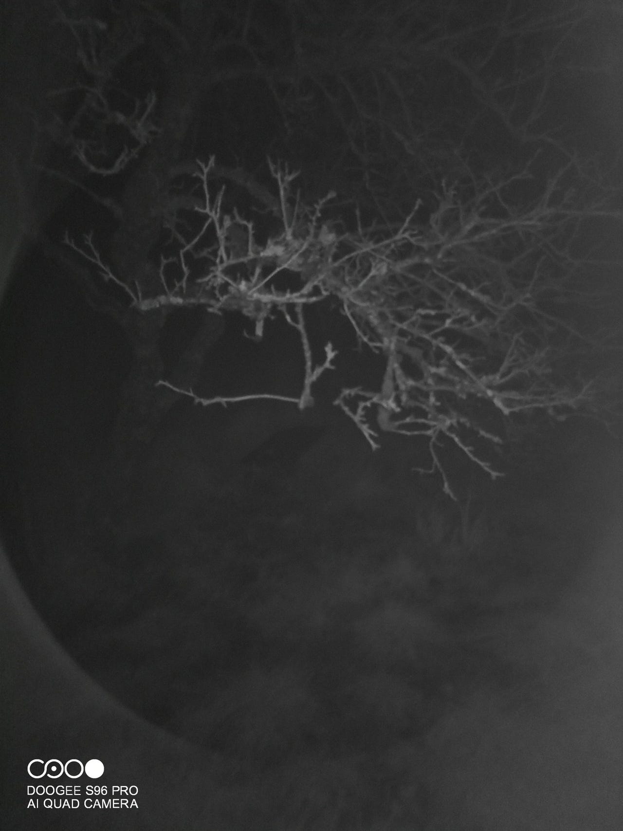 Doogee S96Pro example night vision photo