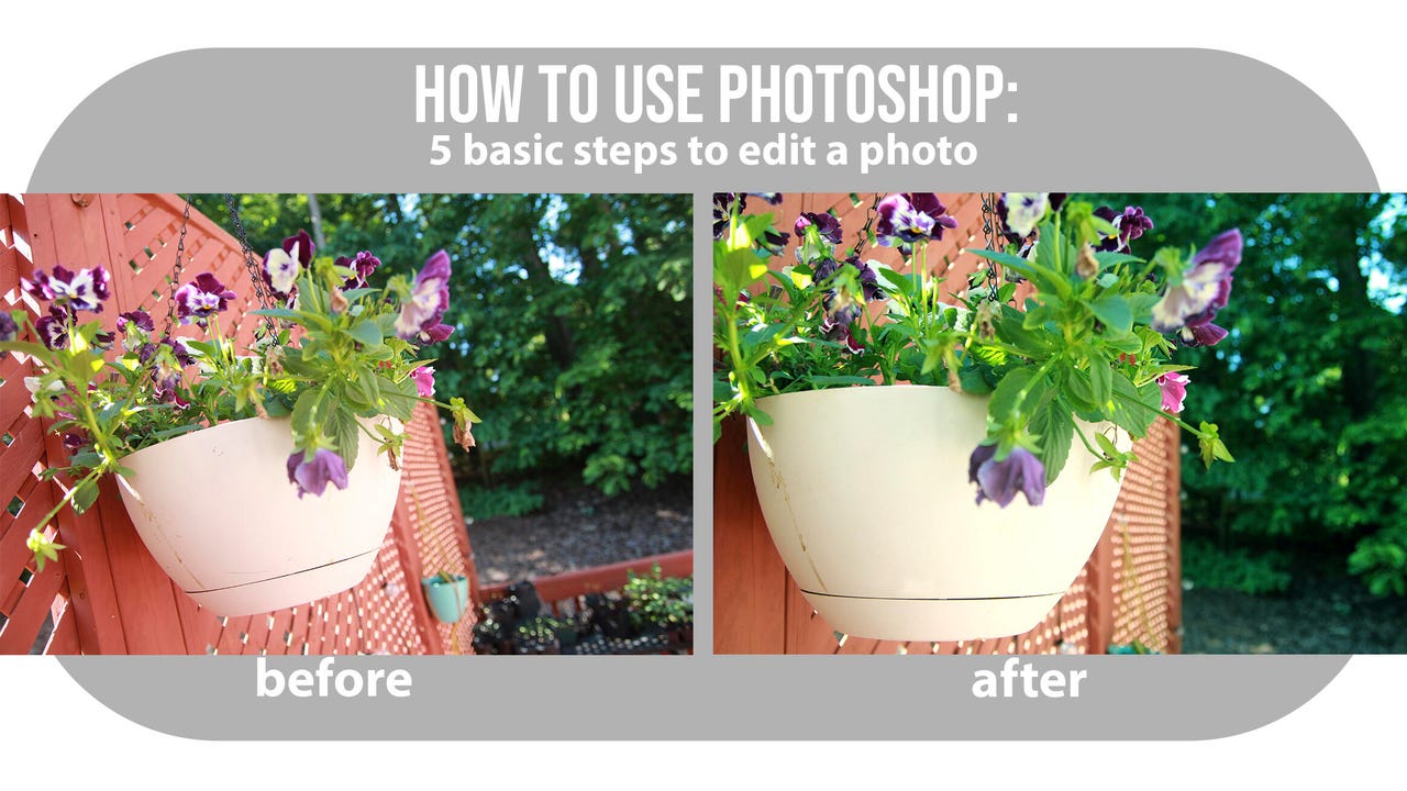 Before and after photos of a flowerpot with flowers