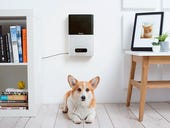 Can't bring your pet to work? Stay connected with this smart tech
