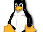 Red Hat touts Linux experience as container differentiator