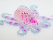 The first fully soft autonomous robot is an octopus