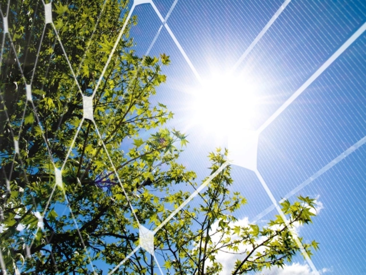 solar-green-tree-sun-energy.jpg