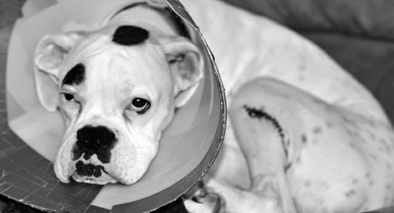 coneofshame17052co.png