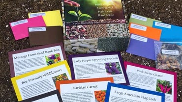 Subscribe to the Seed Bank Fund