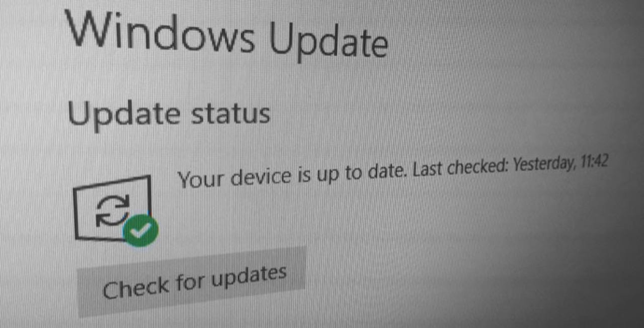 Stop disabling automatic updates, people!