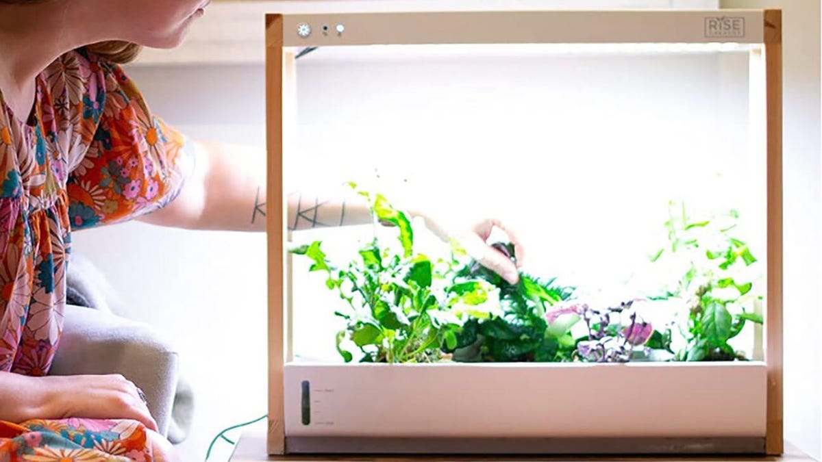 Self-watering hydroponic garden is $56 off for Prime Day
