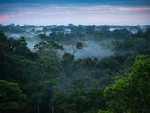 Project to connect the Amazon rainforest goes ahead
