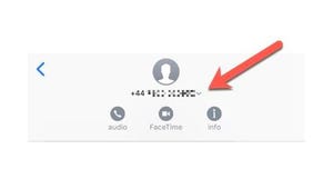 How do I make a Call or FaceTime from the Messages app?