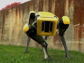 Boston Dynamics set to sell robot dog that became a viral hit