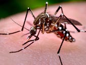 São Paulo city uses technology to fight zika