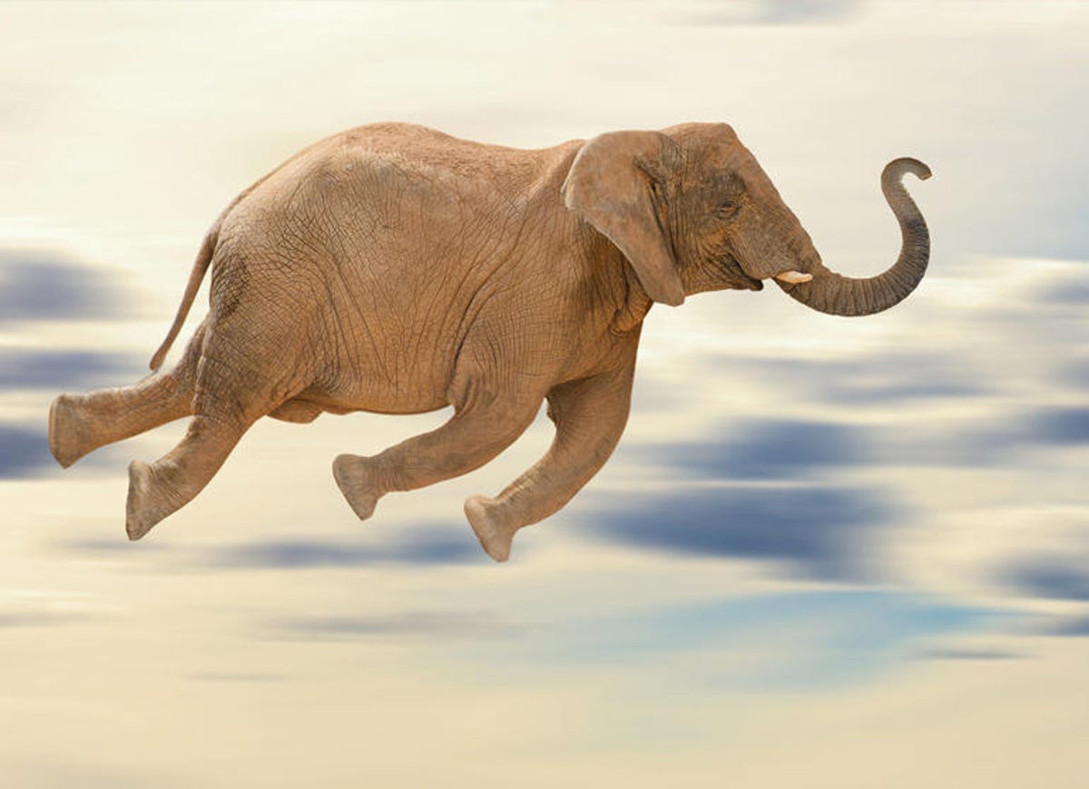 flying-elephant.jpg