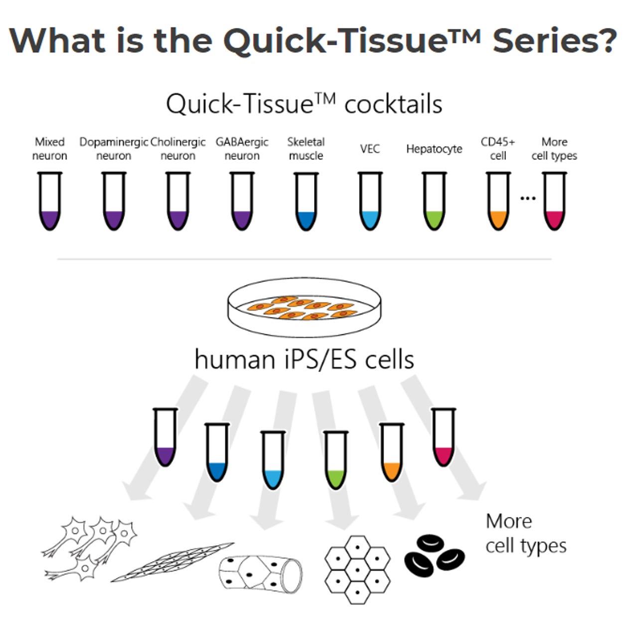 quick-tissue-overview.png