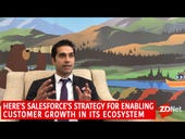 Here's Salesforce's strategy for enabling customer growth in its ecosystem
