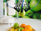 Why a fruit sorting robot will disrupt industrial automation